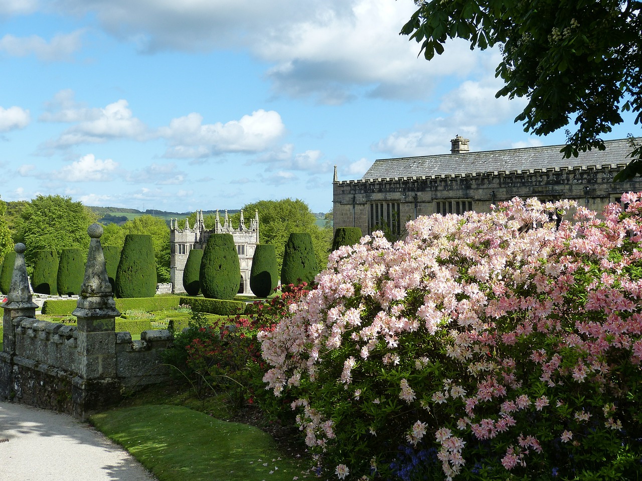 Una lezione su Il Giardino segreto Giardino inglese